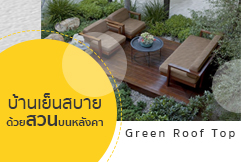 Green Roof Top